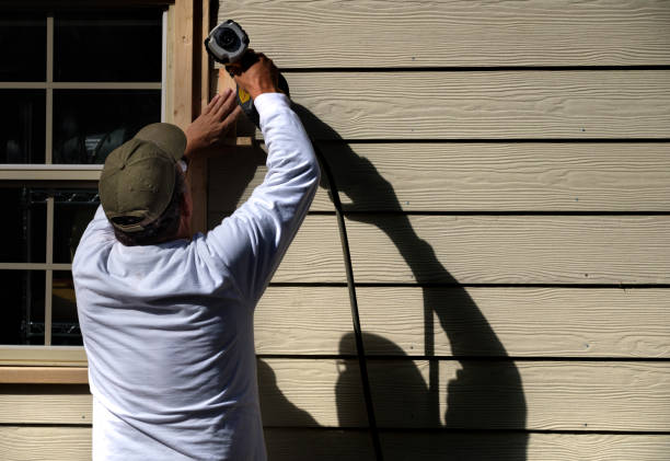 Best Historical Building Siding Restoration  in Stanley, VA